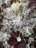 Ellen Halsband