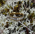 Ellens ring