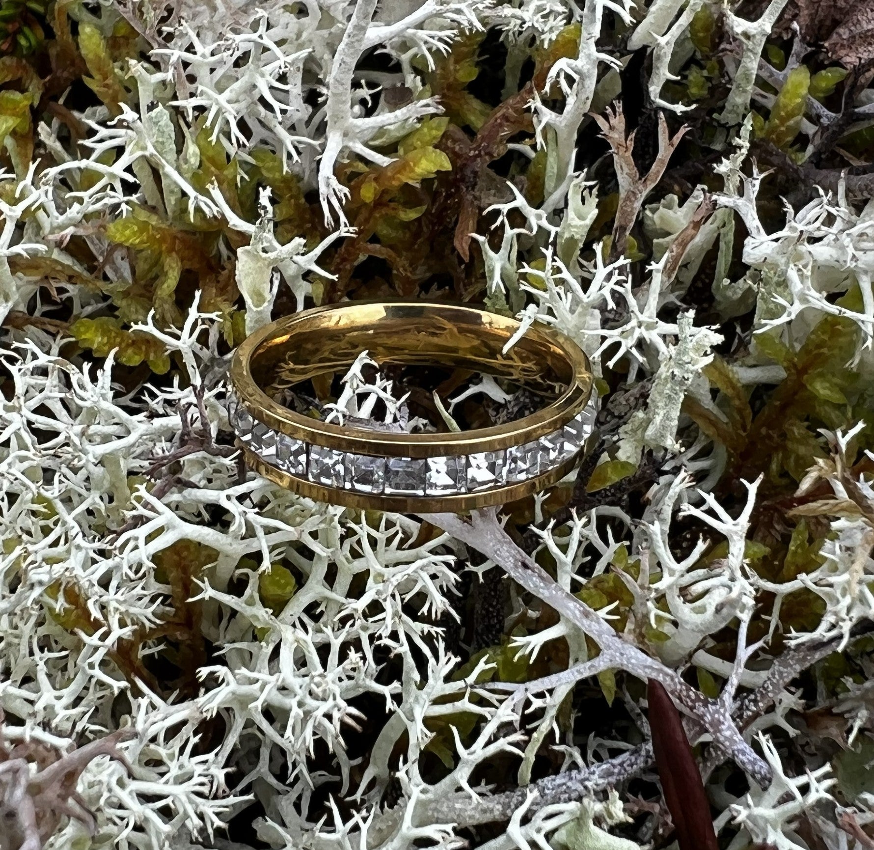Ellens ring