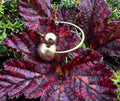 Anna Ring
