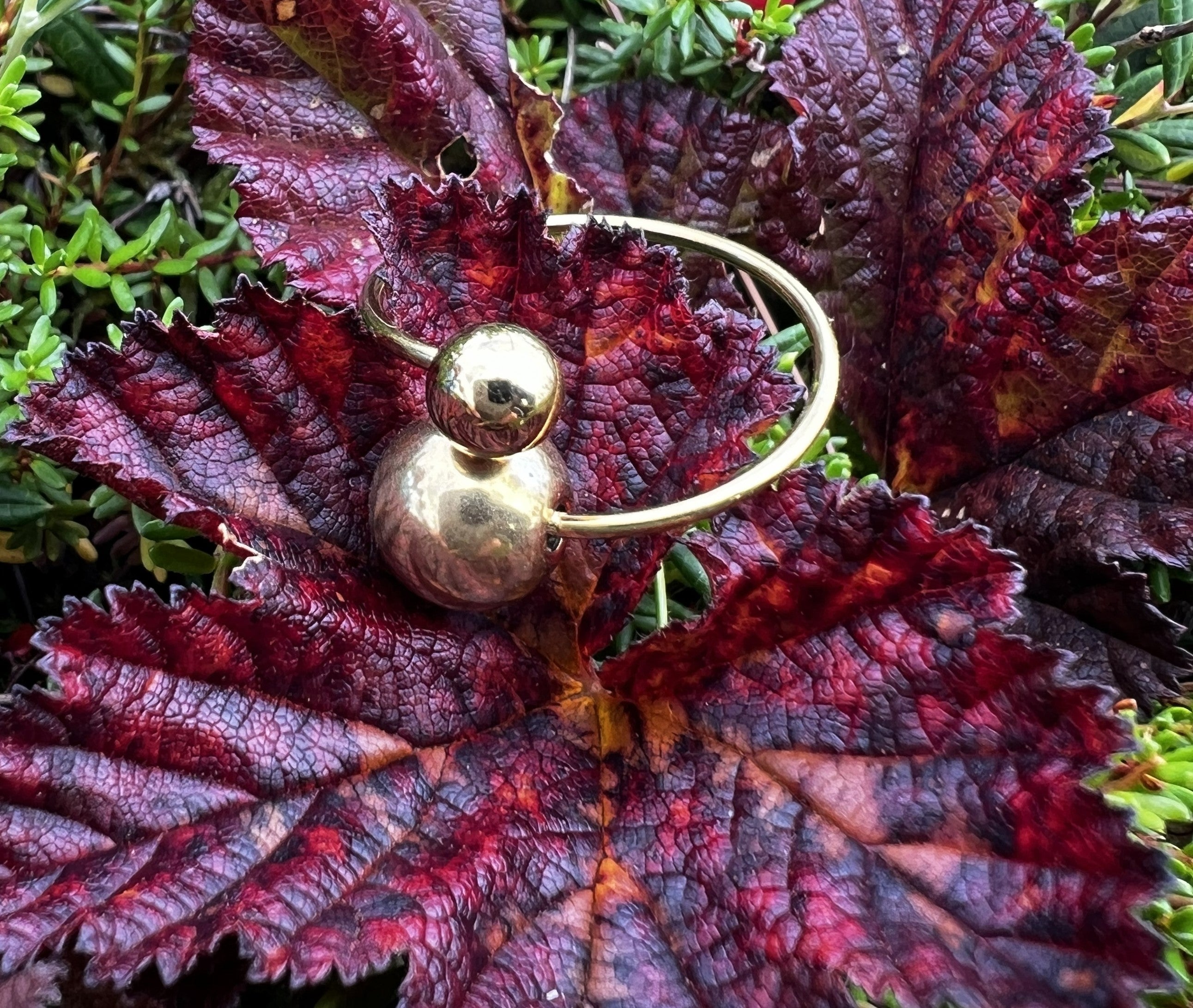 Anna Ring